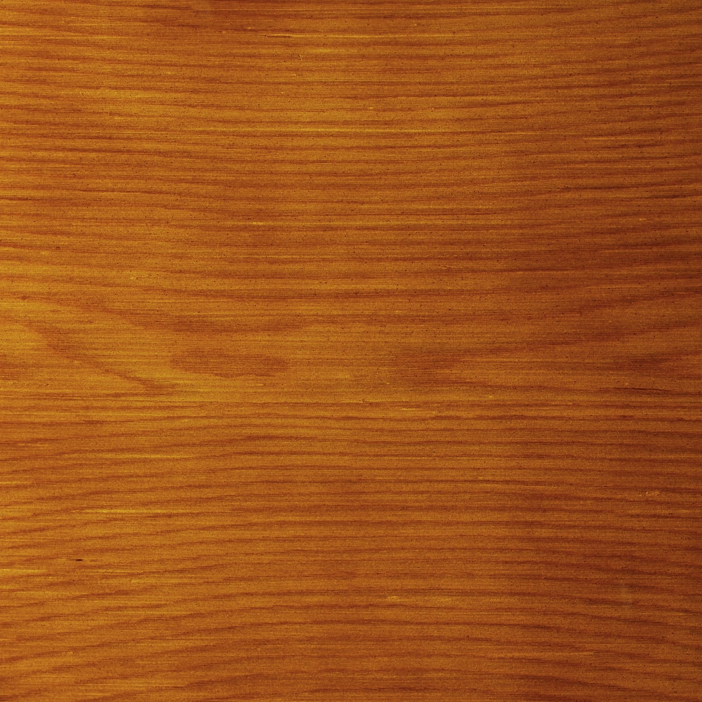 Fauteuil inclinable en cuir véritable Art Leon de style milieu du siècle moderne