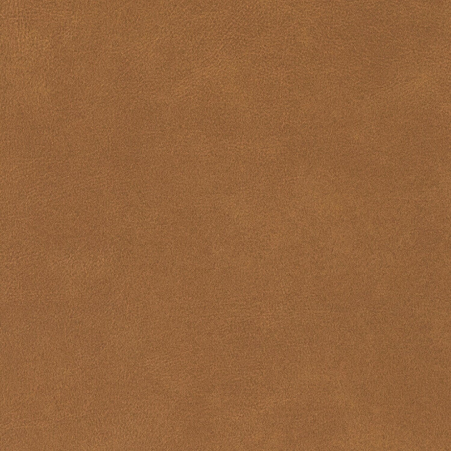 Canapé de salon 3 places en cuir véritable Rita avec pieds en bois massif et clous décoratifs