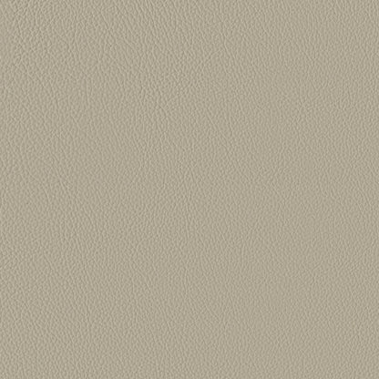 Fauteuil inclinable électrique Blythe en cuir assorti