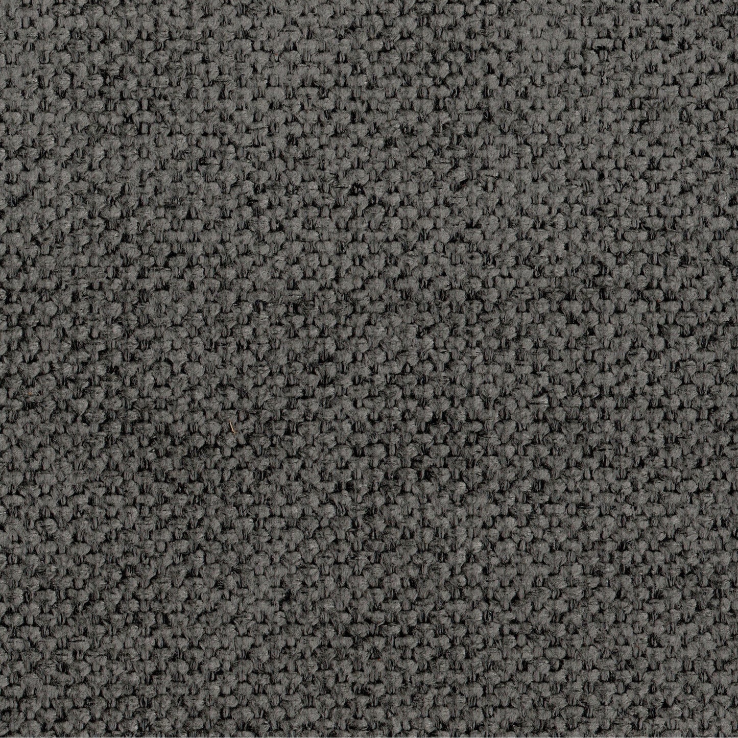 Canapé Ino, polyester gris foncé, coussins en mousse, base en bois massif, 223 cm