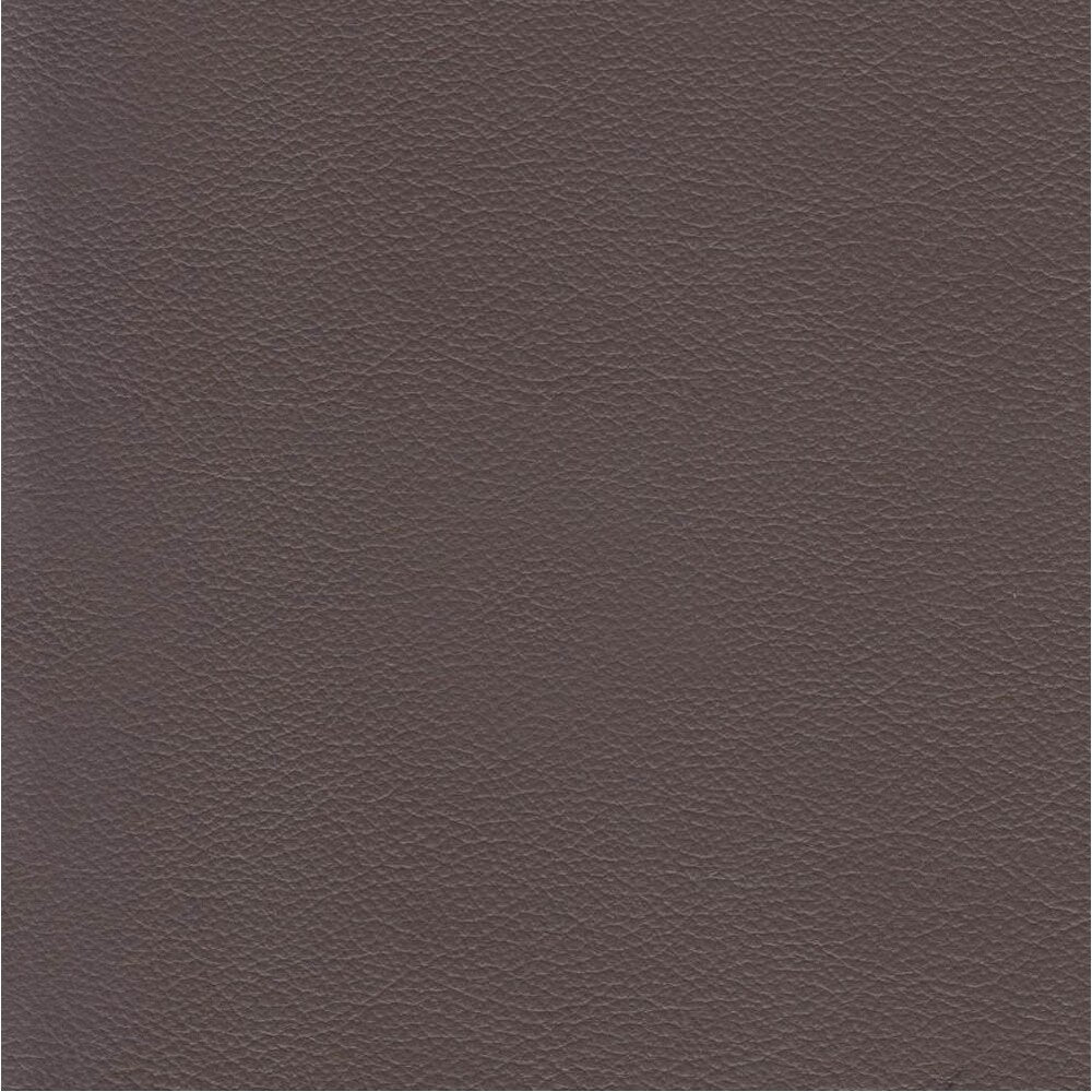 Canapé Cassia en cuir pleine fleur avec plumes, mousse à mémoire de forme et ressorts Ivy Living