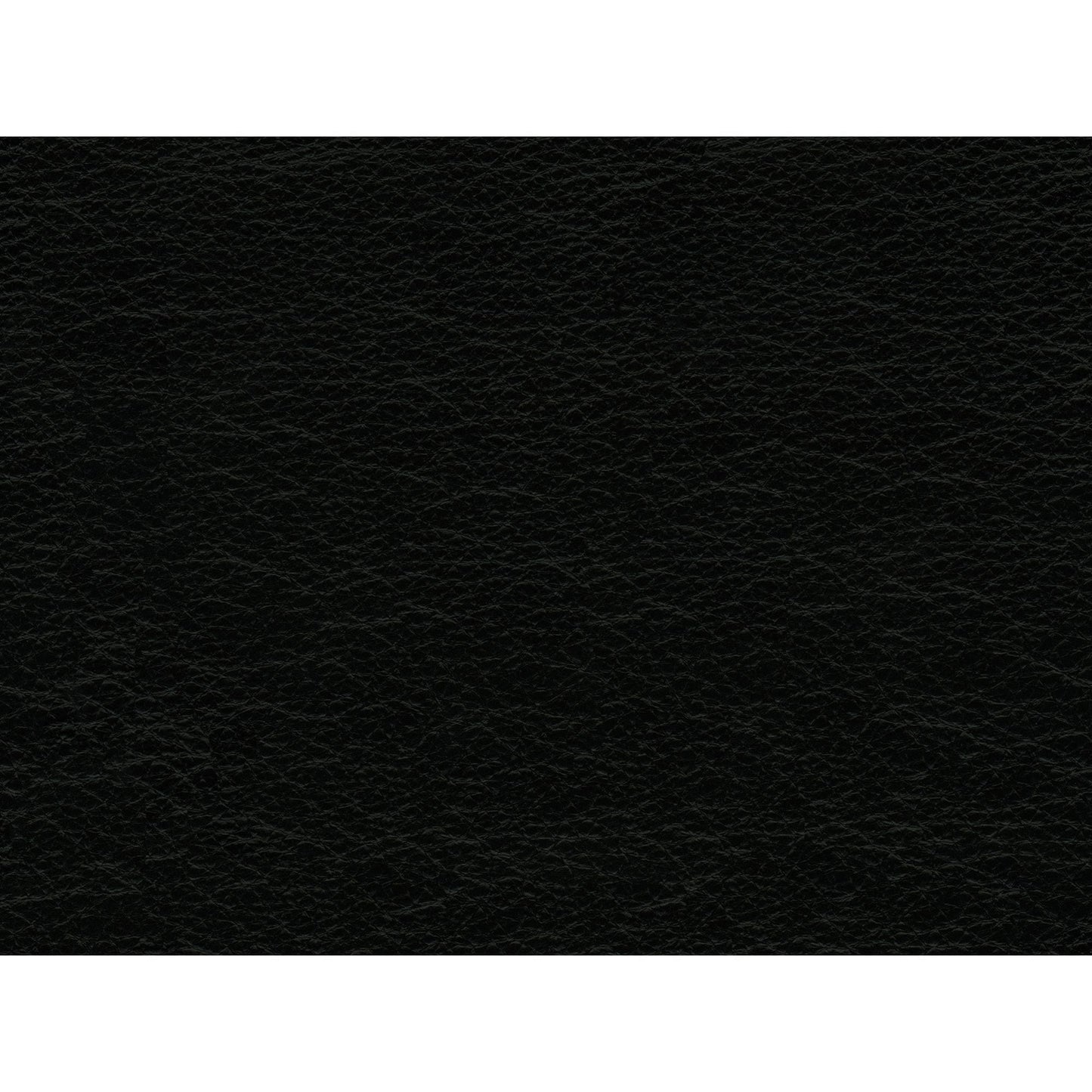 Canapé en cuir noir Hanson de Picket House Furnishings