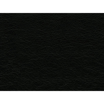 Canapé en cuir noir Hanson de Picket House Furnishings