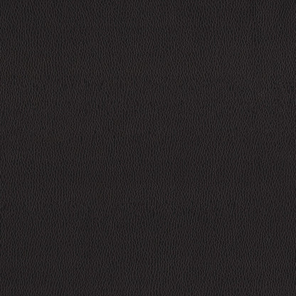 Fauteuil inclinable électrique Plamondon