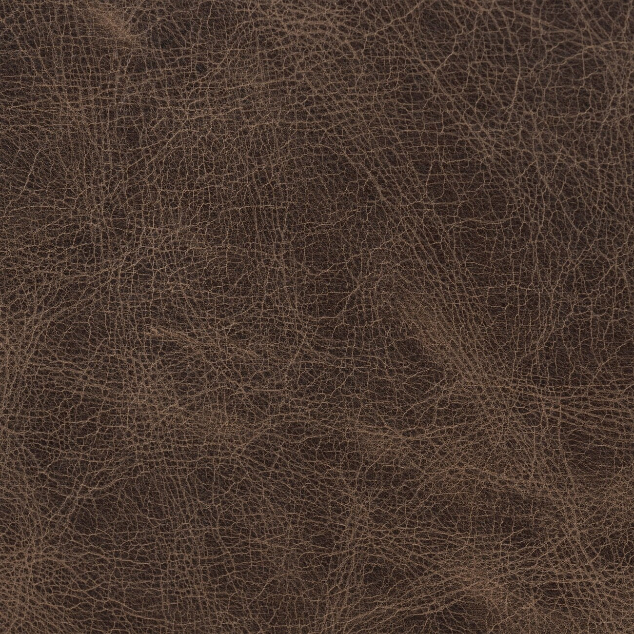 Canapé-lit convertible gigogne en cuir véritable Poly &amp; Bark Essex 86