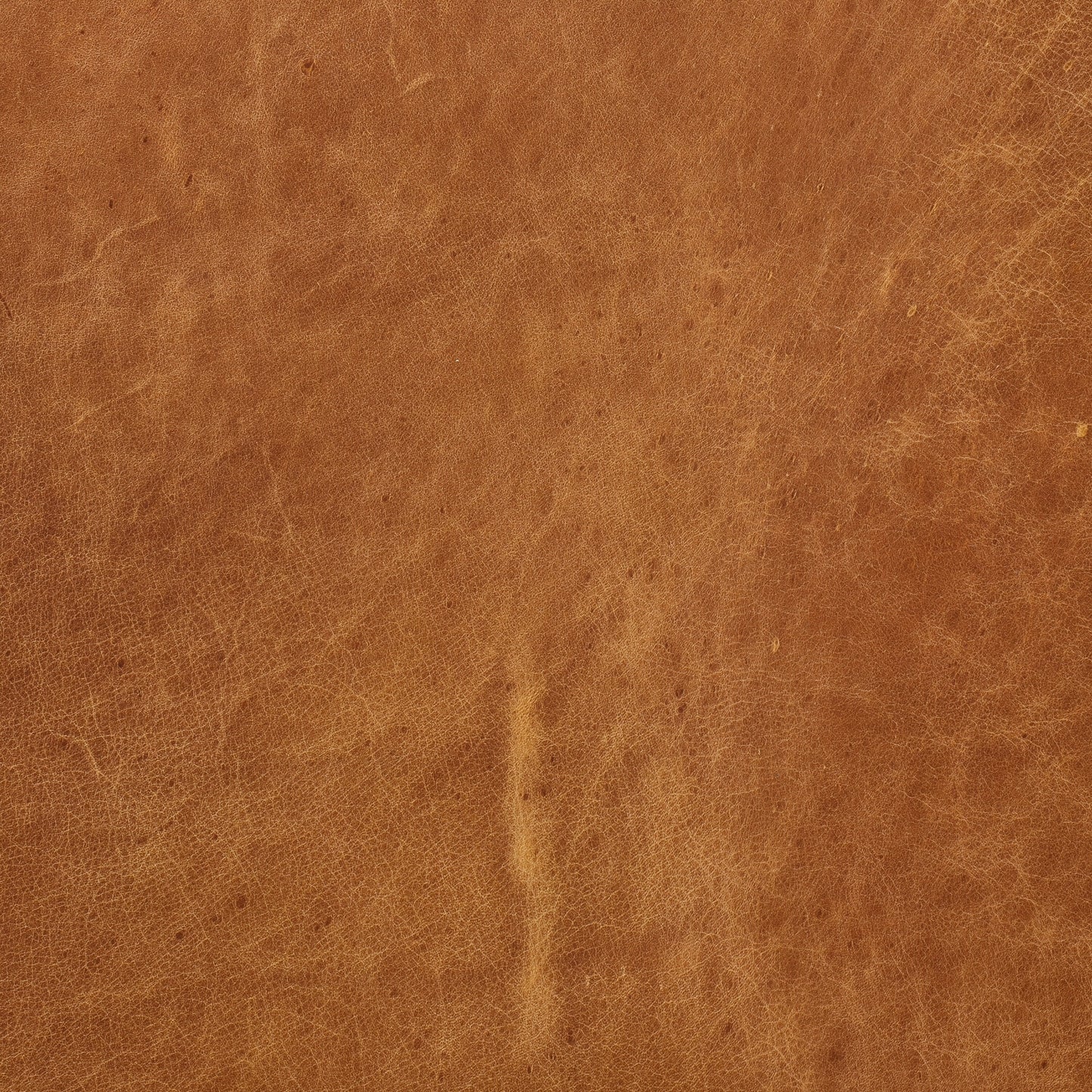 Canapé Canale Poly &amp; Bark - Cuir italien véritable pleine fleur