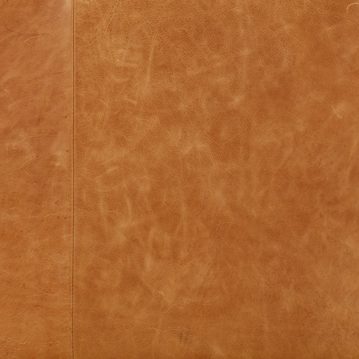 Canapé-lit convertible gigogne en cuir Napa 82 de Poly &amp; Bark - Cuir italien véritable pleine fleur