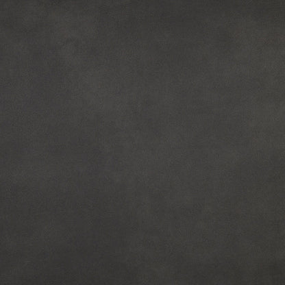 Canapé de salon Reagan en microfibre polie