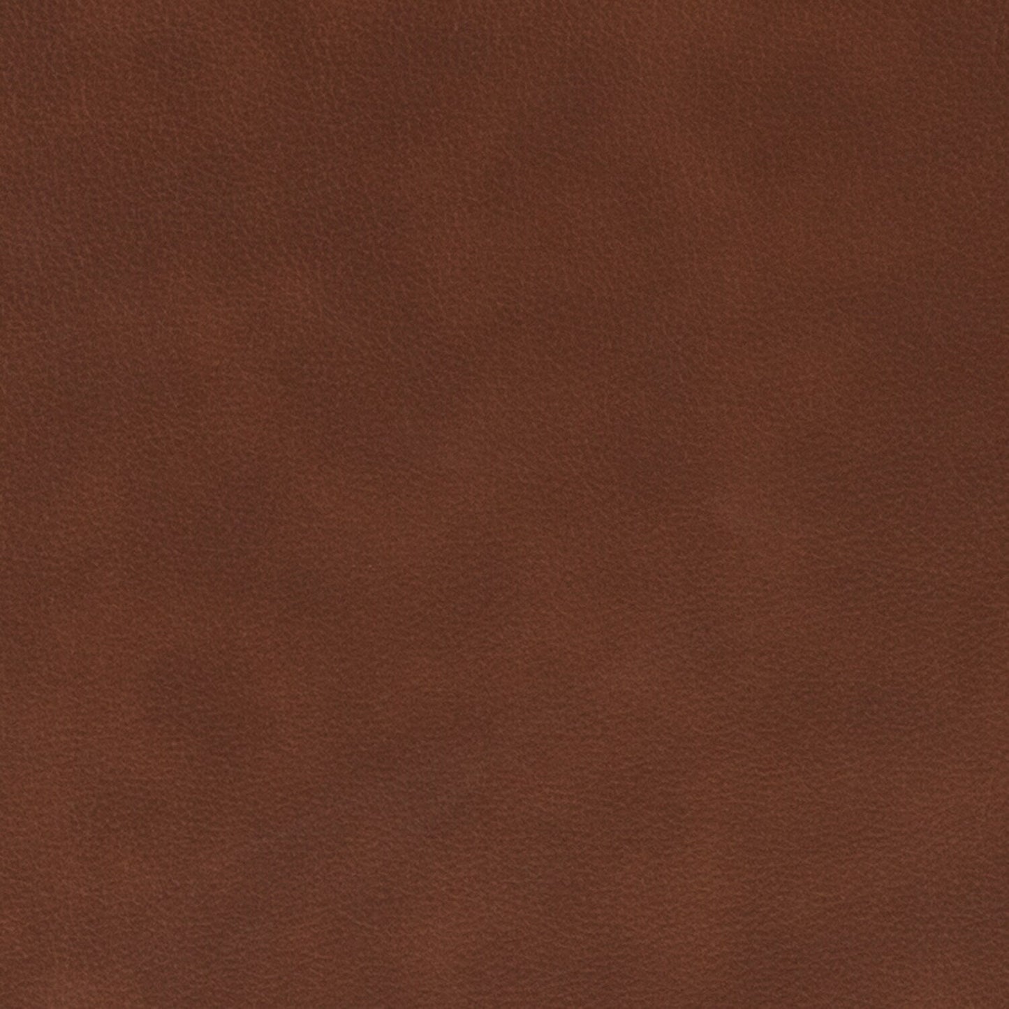 Canapé de salon 3 places en cuir véritable Rita avec pieds en bois massif et clous décoratifs