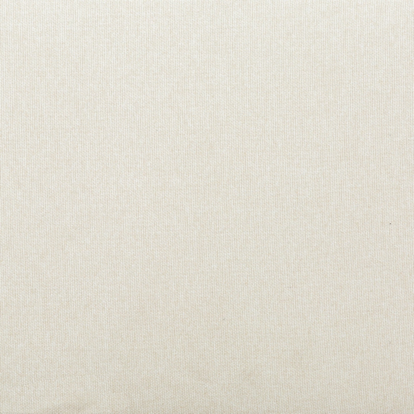 Canapé-lit queen Stearns &amp; Foster® Paolo de 82 po avec matelas en mousse à mémoire de forme de 5 po