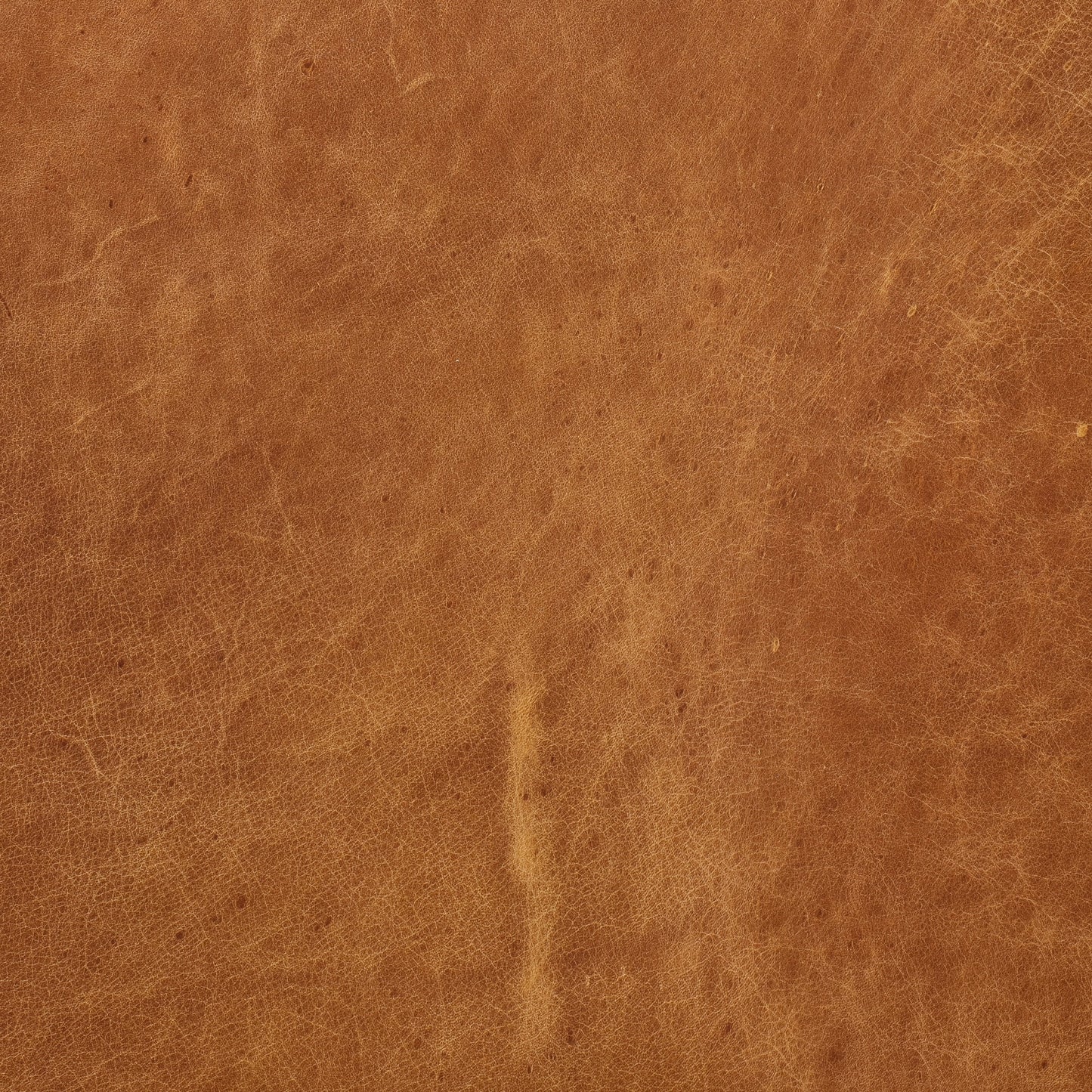 Canapé d'appartement Poly &amp; Bark Napa 72 - Cuir italien véritable pleine fleur